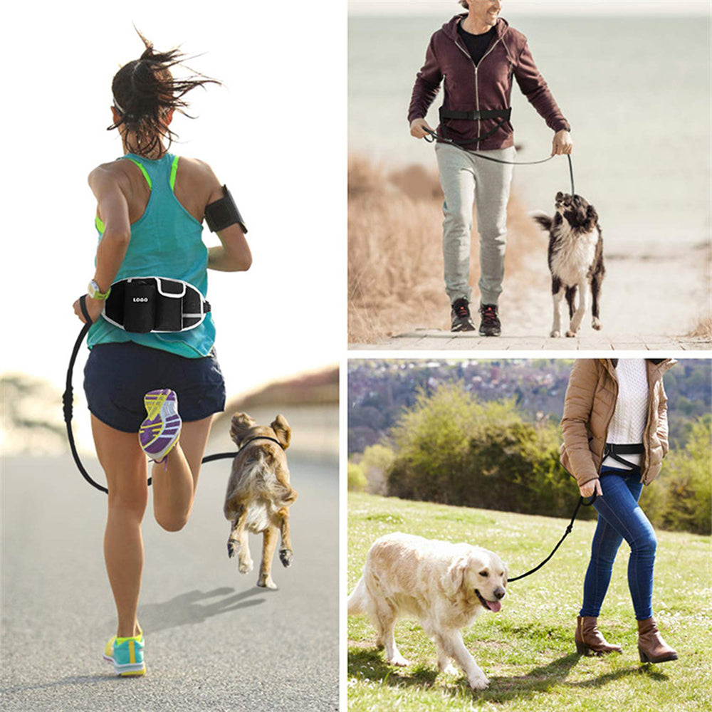 Hands-Free Dog Walking Leash Bag