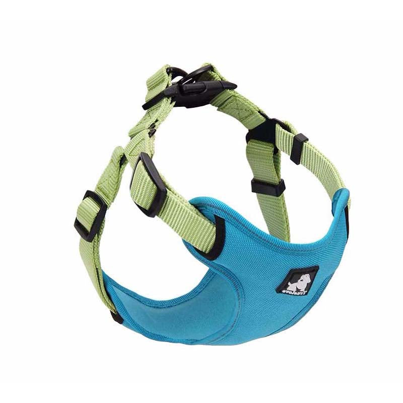 Puppy Walking Leash Set