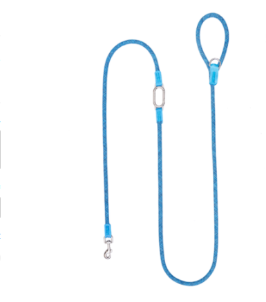 Running Dog Leash