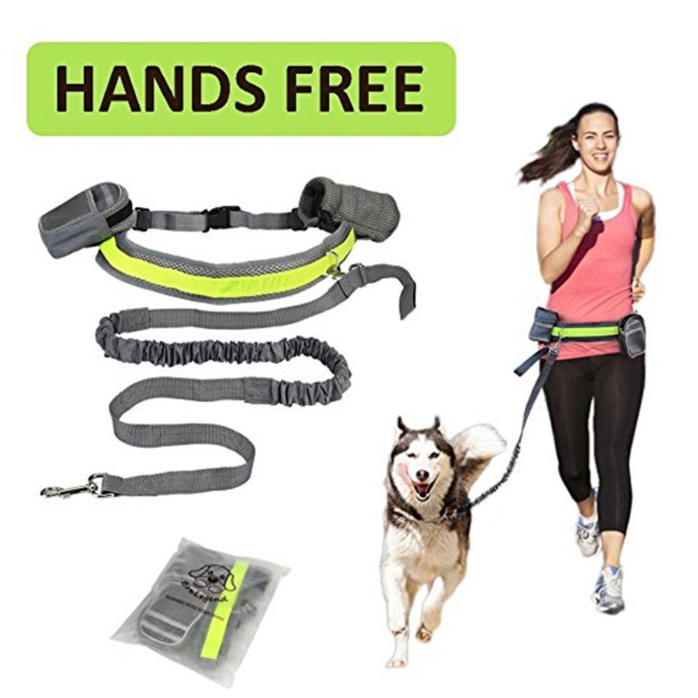 Hands Free Dog Walking Leash