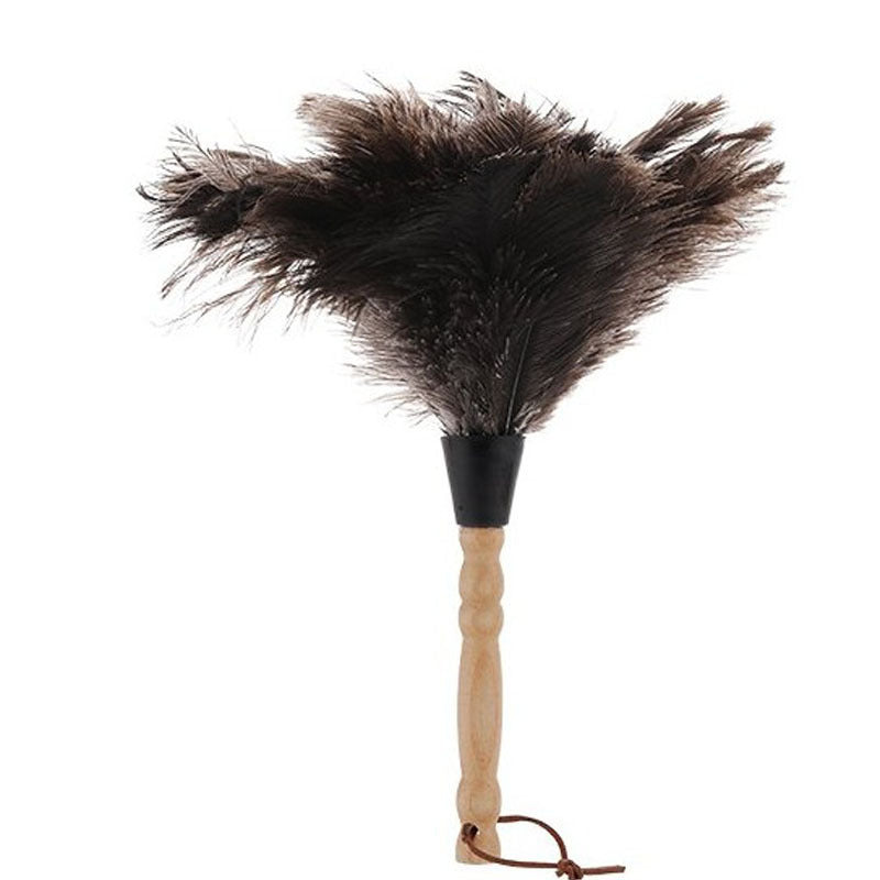 Extendable Dusting Brush