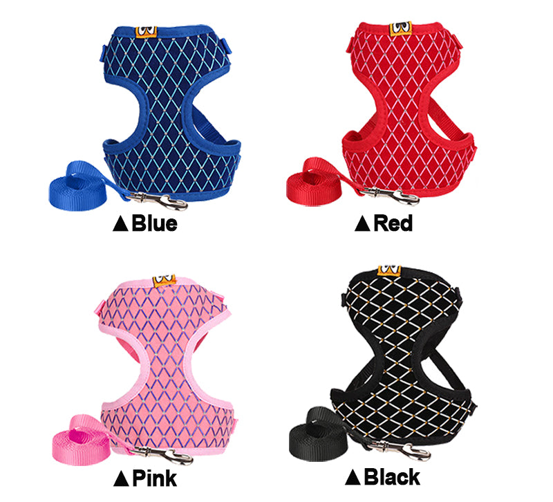 Pet Leash for Dogs and Cats
