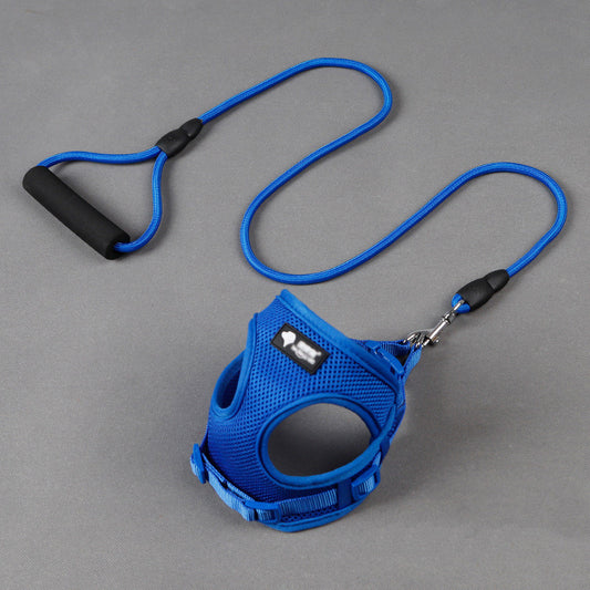 Pawfect Walking Leash Set