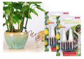 Self Watering Plant Stakes
