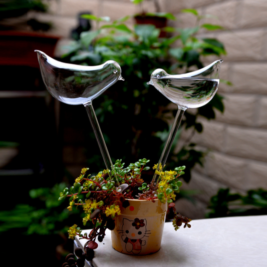 Self Watering Plant Pot