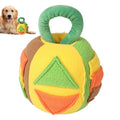 Squeaky Interactive Dog Toy