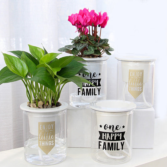 Succulent Smart Planter
